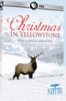 Christmas in Yellowstone Movie Streaming Online