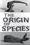 Clay or the Origin of Species Movie Streaming Online
