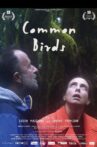Common Birds Movie Streaming Online