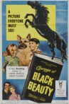 Courage of Black Beauty Movie Streaming Online