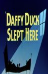 Daffy Duck Slept Here Movie Streaming Online