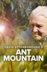 David Attenborough's Ant Mountain Movie Streaming Online