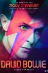 David Bowie: The Rise And Fall of Ziggy Stardust and the Spiders From Mars Movie Streaming Online