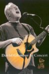 David Gilmour  Meltdown Concert Movie Streaming Online