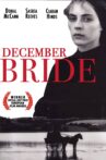 December Bride Movie Streaming Online
