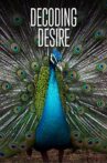 Decoding Desire Movie Streaming Online