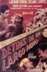 Detrás de un largo muro Movie Streaming Online