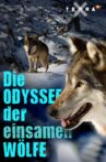 Die Odyssee der einsamen Wölfe Movie Streaming Online