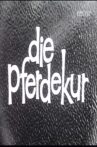 Die Pferdekur Movie Streaming Online