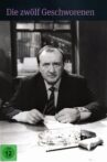 Die zwölf Geschworenen Movie Streaming Online