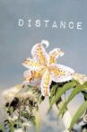 Distance Movie Streaming Online