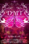 DMT: The Spirit Molecule Movie Streaming Online