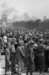 Dr Münch - läkare i Auschwitz Movie Streaming Online