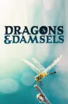 Dragons and Damsels Movie Streaming Online