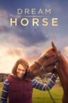 Dream Horse Movie Streaming Online