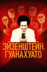 Eisenstein in Guanajuato Movie Streaming Online