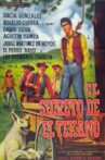 El secreto del texano Movie Streaming Online