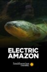 Electric Amazon Movie Streaming Online