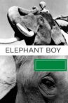Elephant Boy Movie Streaming Online