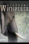 Elephant Whisperer Movie Streaming Online