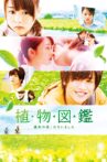 Evergreen Love Movie Streaming Online