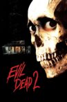Evil Dead II Movie Streaming Online