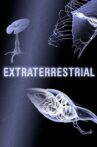 Extraterrestrial Movie Streaming Online