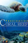 Fascination Coral Reef Movie Streaming Online