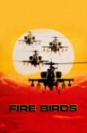 Fire Birds Movie Streaming Online