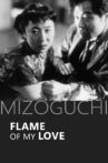 Flame of My Love Movie Streaming Online