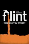 Flint Movie Streaming Online