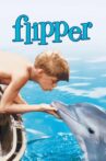 Flipper Movie Streaming Online