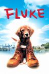 Fluke Movie Streaming Online