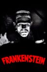 Frankenstein Movie Streaming Online