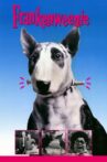 Frankenweenie Movie Streaming Online