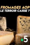 Fromages AOP : le terroir caisse ? Movie Streaming Online