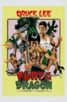 Fury of the Dragon Movie Streaming Online