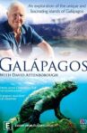 Galapagos with David Attenborough Movie Streaming Online