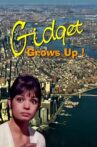 Gidget Grows Up Movie Streaming Online