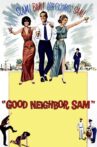 Good Neighbor Sam Movie Streaming Online