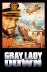 Gray Lady Down Movie Streaming Online