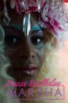 Happy Birthday, Marsha! Movie Streaming Online