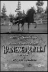 Harnessed Rhythm Movie Streaming Online
