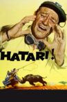 Hatari! Movie Streaming Online