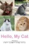 Hello, My Cat Movie Streaming Online