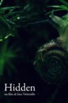 Hidden Movie Streaming Online