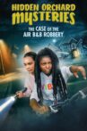 Hidden Orchard Mysteries: The Case of the Air B and B Robbery Movie Streaming Online