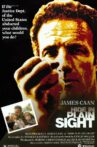 Hide in Plain Sight Movie Streaming Online