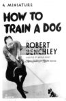 How to Train a Dog Movie Streaming Online