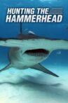 Hunting the Hammerhead Movie Streaming Online